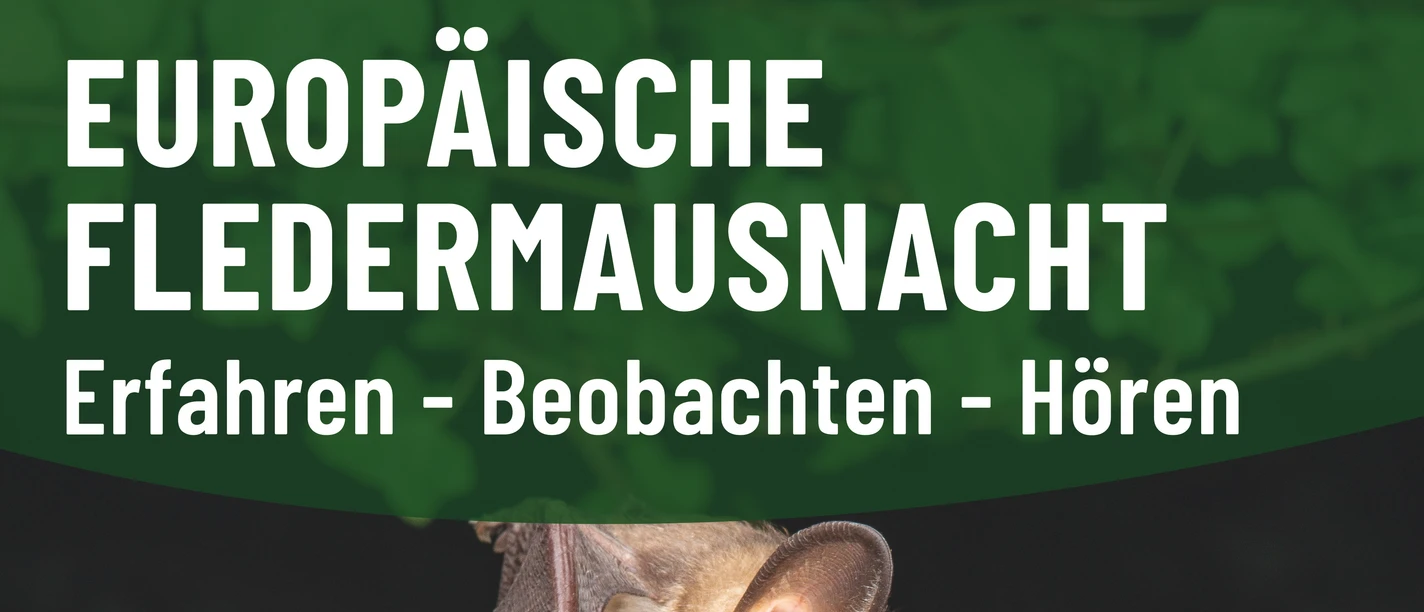 LZW_Plakat_Waldhof_Fledermausnacht.jpg
