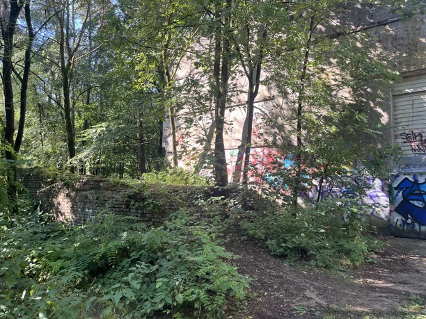 Überwachsene Ruinen des alten Schießstandes im Rhedaer Forst mit Graffiti.