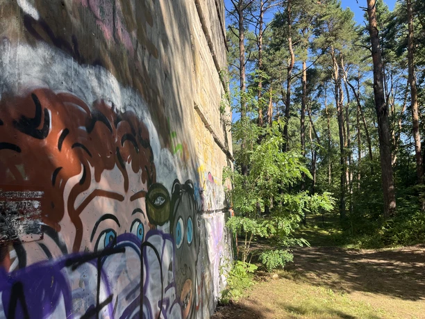 Betonwand mit Graffiti am Alten Schießstand im Rhedaer Forst und angrenzendem Kiefernwald.