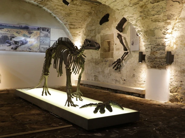 Museum Haus Hövener - Dinosaurierskelett