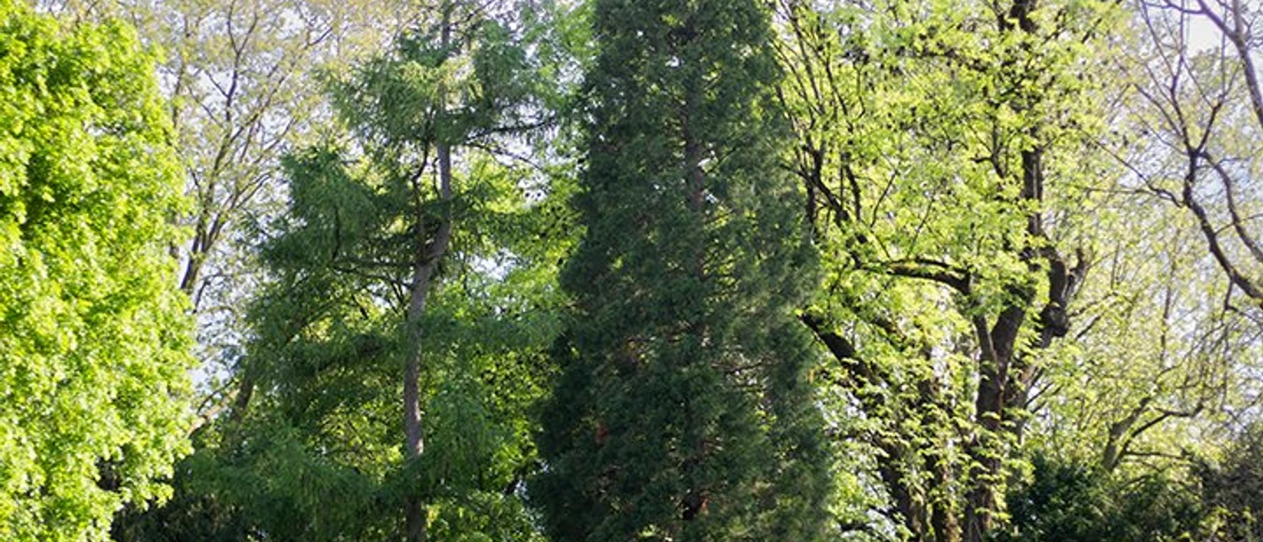 Alter Friedhof Heilbronn_2023_mb_0205