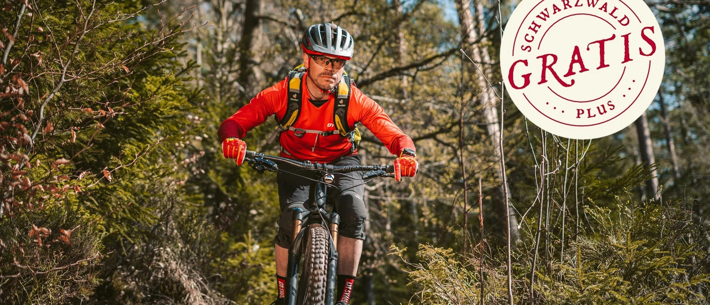 Jede Menge Trails im oberen Murgtal