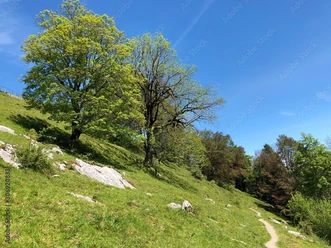 Jodelwanderung 10