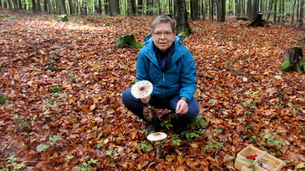 Ulrike Öhler bei einer ihrer Pilzwanderungen Ulrike Öhler bei einer ihrer Pilzwanderungen