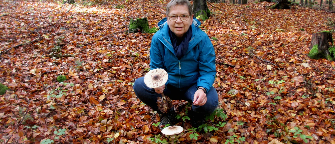 Ulrike Öhler bei einer ihrer Pilzwanderungen Ulrike Öhler bei einer ihrer Pilzwanderungen