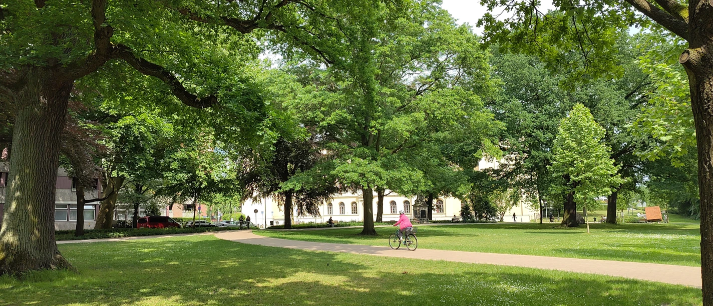 Radfahrerin fährt durch den grünen Clamart-Park mit alten Bäumen in Lüneburg.
