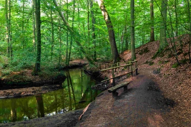 Hasenburger Bachtal