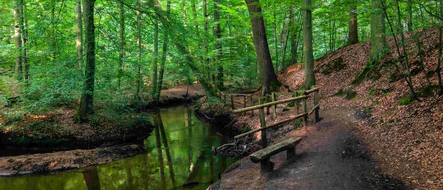 Hasenburger Bachtal