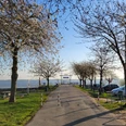 20230421_075008.jpg