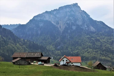 Mächler