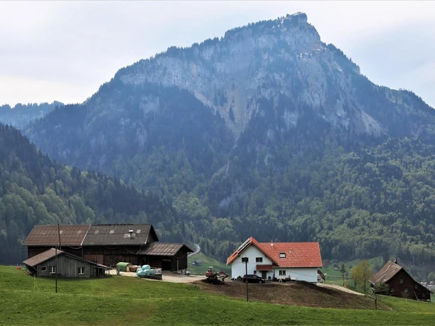 Mächler