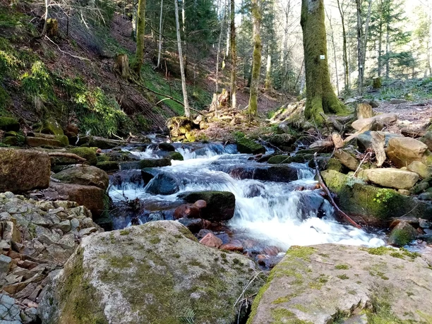 Wiesensteig