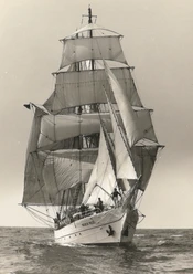 Segelschulschiff "Wilhelm Pieck"