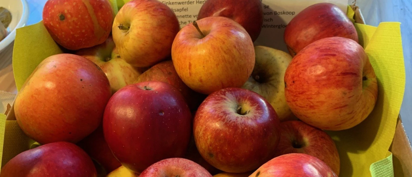 Äpfel