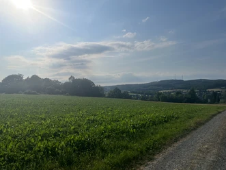 Grüne Wiese mit sommerlichem Hintergrund