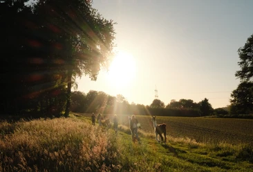 Luisenhof-Lamas_Lamawanderung_Sundowner.jpg