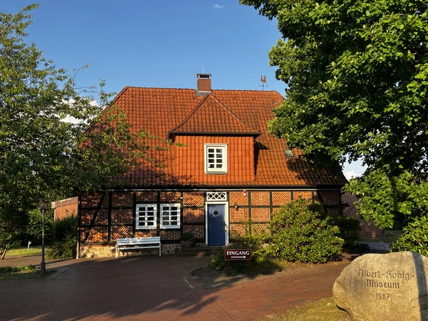 Unterlüß_Suedheide_Sommer_ccbysa_Brammer_20250714_1408.jpeg