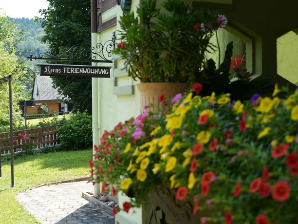 gepflegtes Grundstück