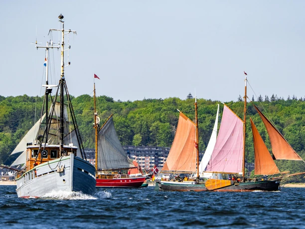Rumregatta in Flensburg-MartinZiemer (2)