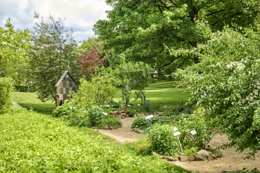 Heilpflanzengarten