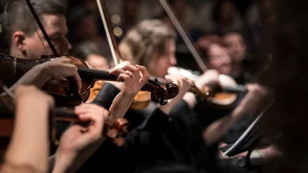 Musiker_spielend_Orchester_1920x1080.jpg