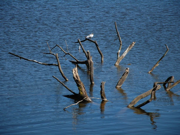 Schlaubetal Treppelsee