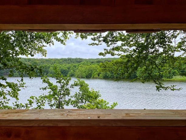 Beobachtungshütte Treppelsee