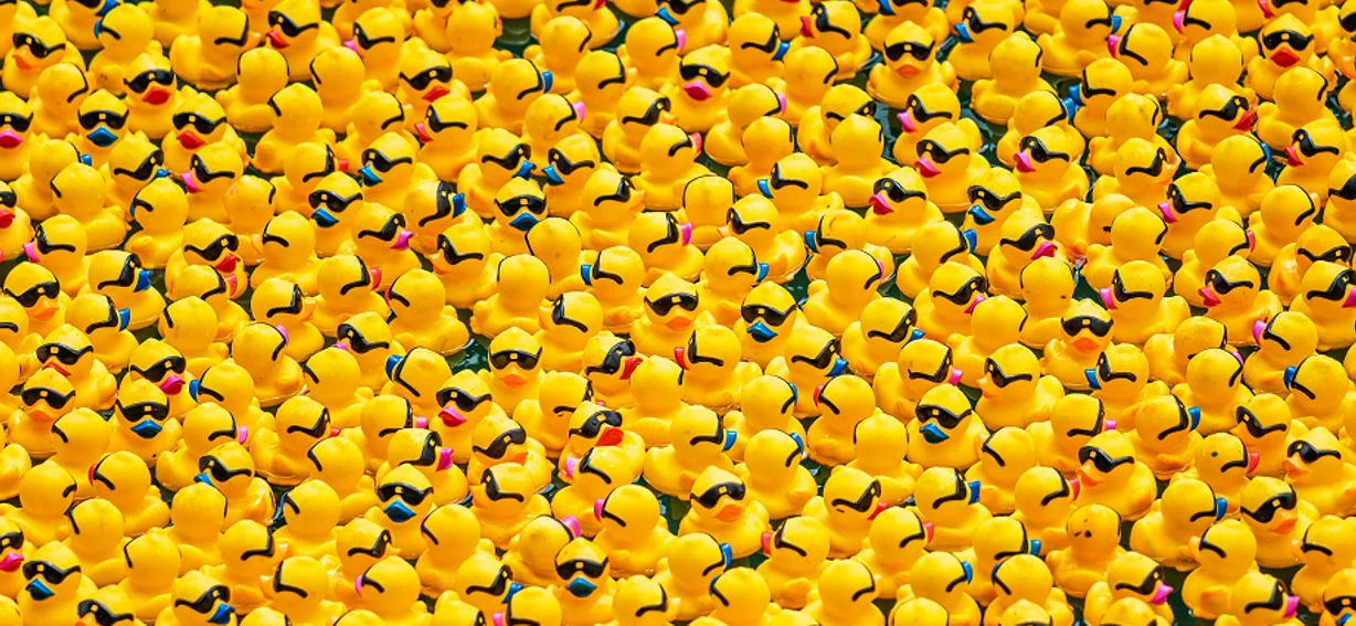 Ente
