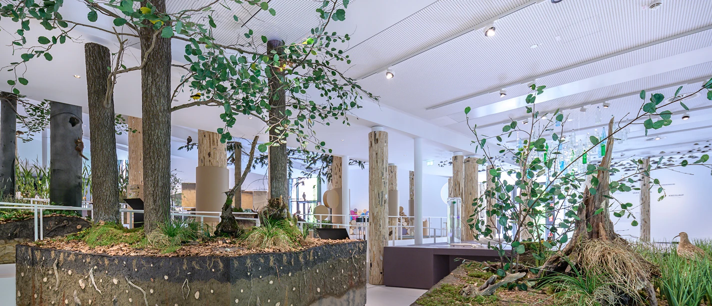 Schoelerberg Ausstellung_C_HermannPentermann.jpg