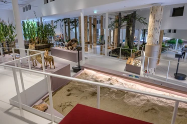 Rampen-Dauerausstellung-MaS_HermannPentermann.jpg