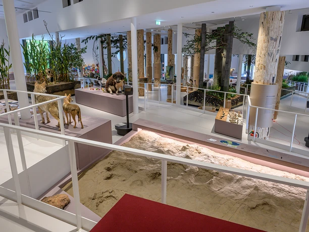Rampen-Dauerausstellung-MaS_HermannPentermann.jpg Rampen-Dauerausstellung-MaS_HermannPentermann.jpg