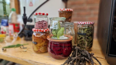 Gartenworkshop Einkochen_C_Museum am Schölerberg.jpg