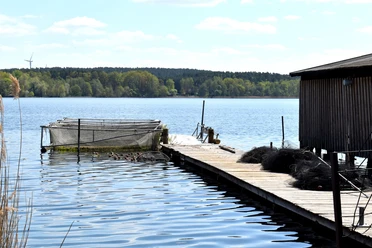 Steg Fischland Scharmützelsee