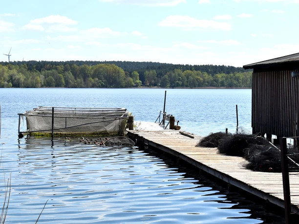 Steg Fischland Scharmützelsee