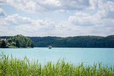 Schermützelsee Sommer