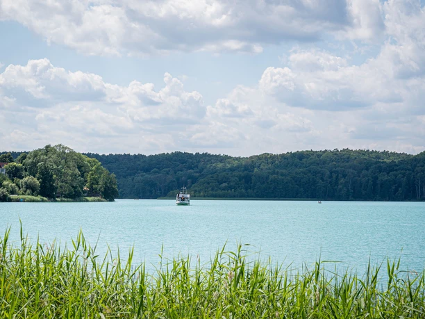 Schermützelsee Sommer
