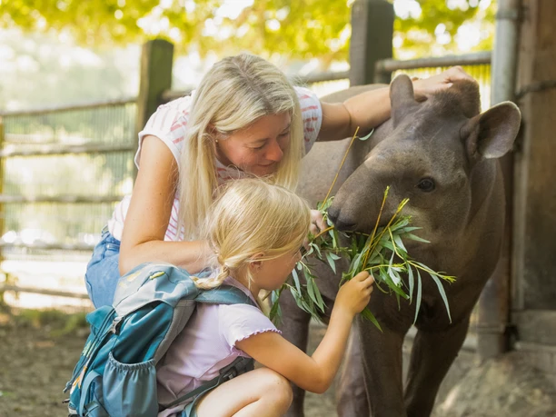 Frau und Kind füttern einen Tapir mit frischen Zweigen im Tierpark Ströhen.