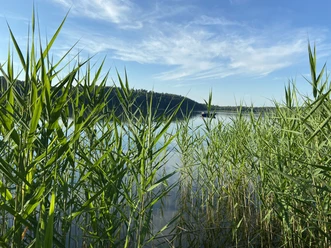 Rundweg Springsee
