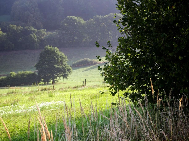 Mountainbiken in Bad Soden-Salmünster