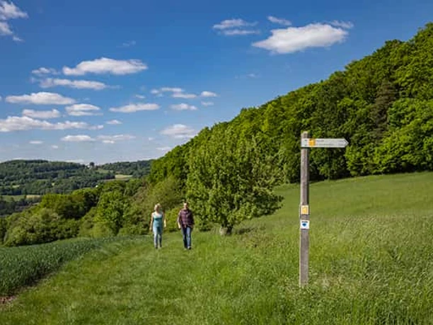 Premium-Wanderweg Stolzenberger Ritterblick