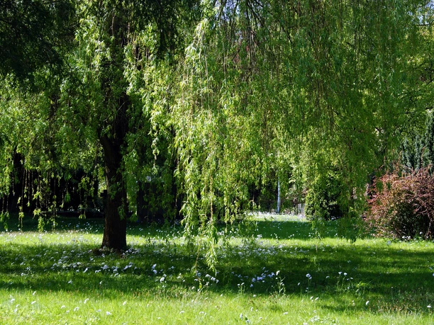 Parkanlage Alter Friedhof