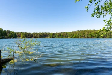 Schervenzsee, Naturpark Schlaubetal