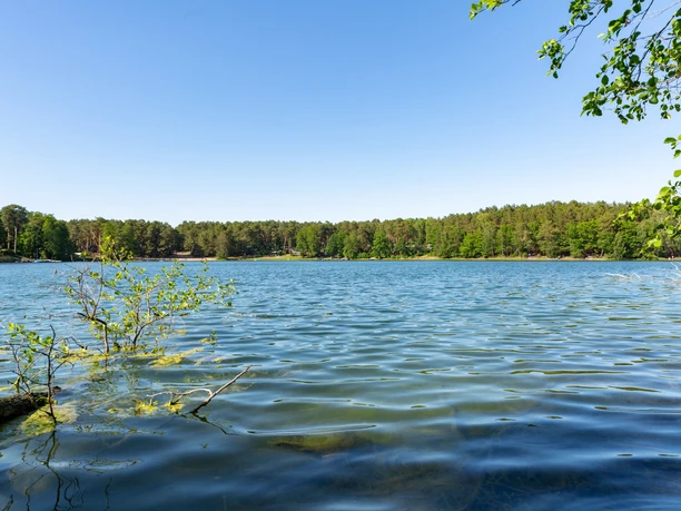 Schervenzsee, Naturpark Schlaubetal