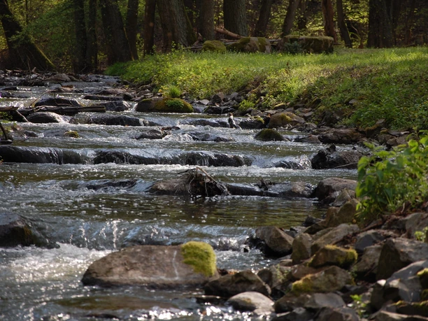 Schlaube vor Kupferhammer