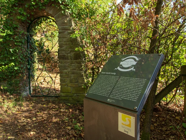 Pfad Keltersberg mit Info zum Weinbau