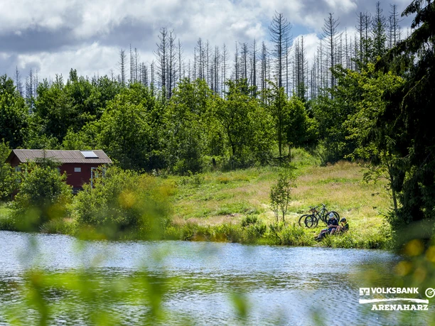 Rast am Ziegenberger Teich