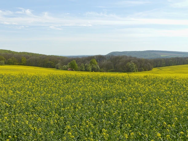Aussicht zur östlichen Hainleite