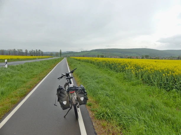 Radweg Richtung Auleben.