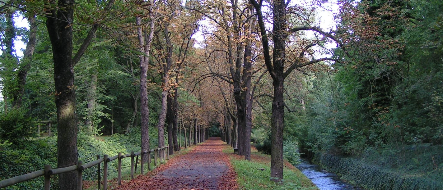 Wallanlagen Goslar