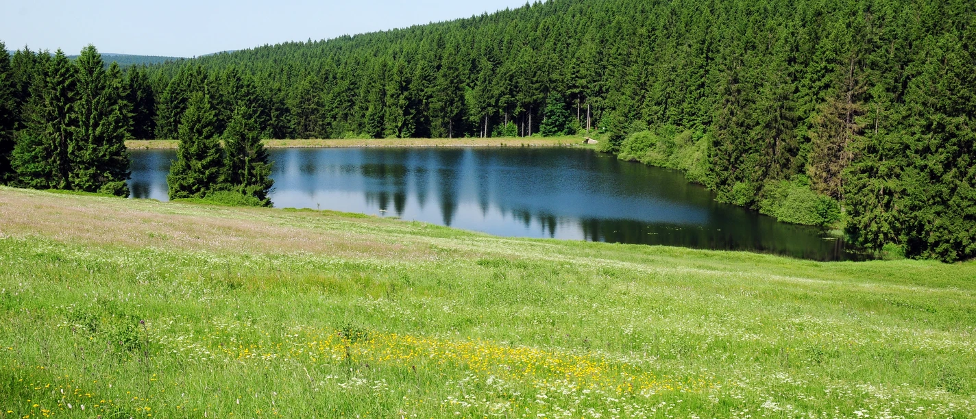 Blick auf den Auerhahnteich
